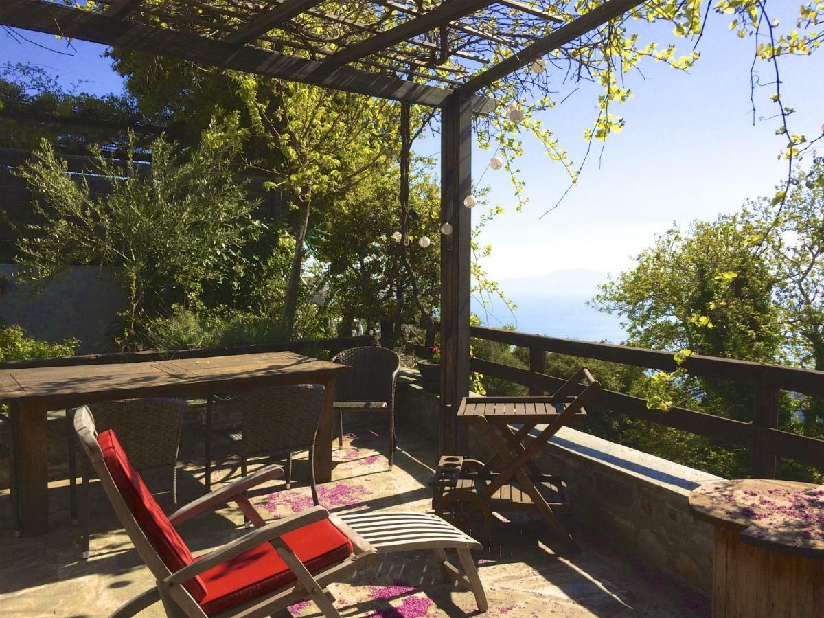 Pelion Homes Агіос-Георгіос-Ніліас Екстер'єр фото